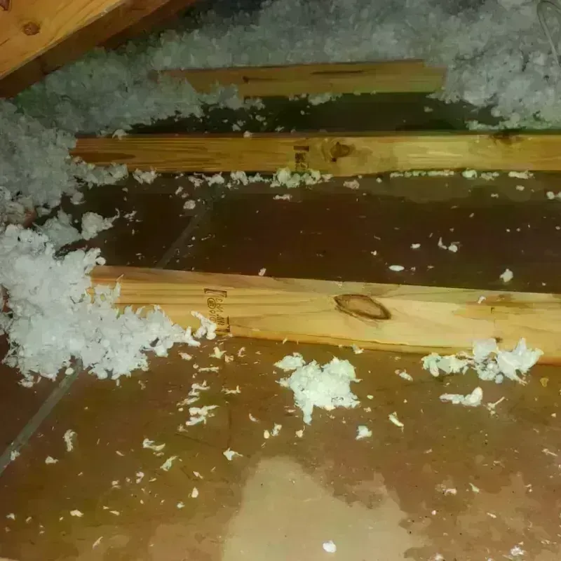 Attic Water Damage in Dundee, OR